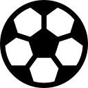 司达蕾